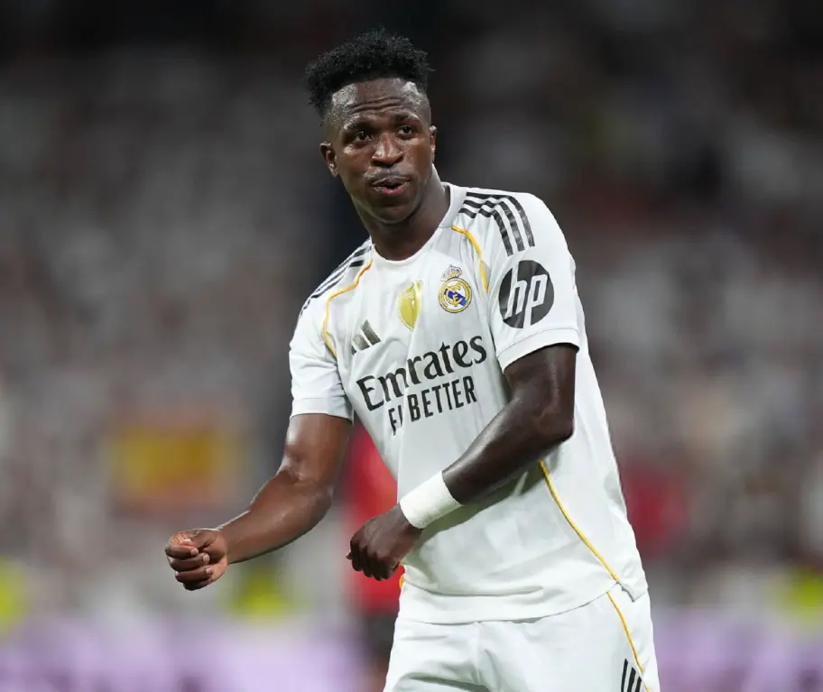 div, 战舰新的掌 div, 战舰新的掌